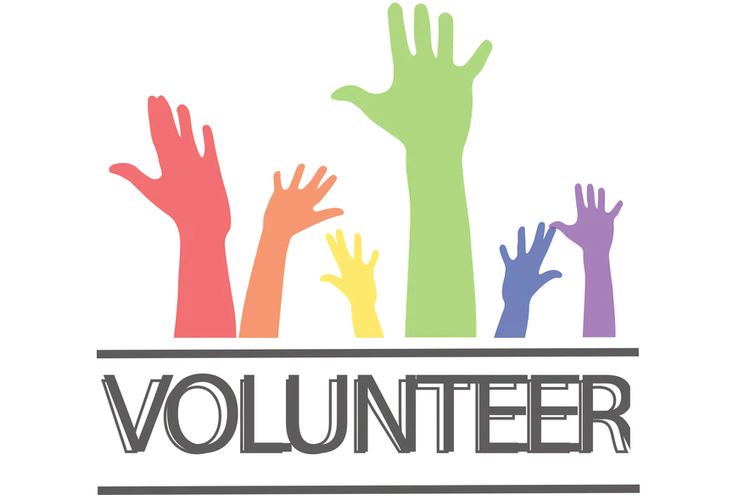 Graphic of different coloured hands raised to volunteer