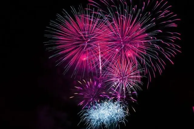 Pink and blue fireworks against the night sky